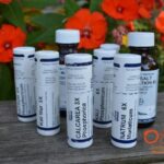 Cell Salts: The Basic Building Blocks